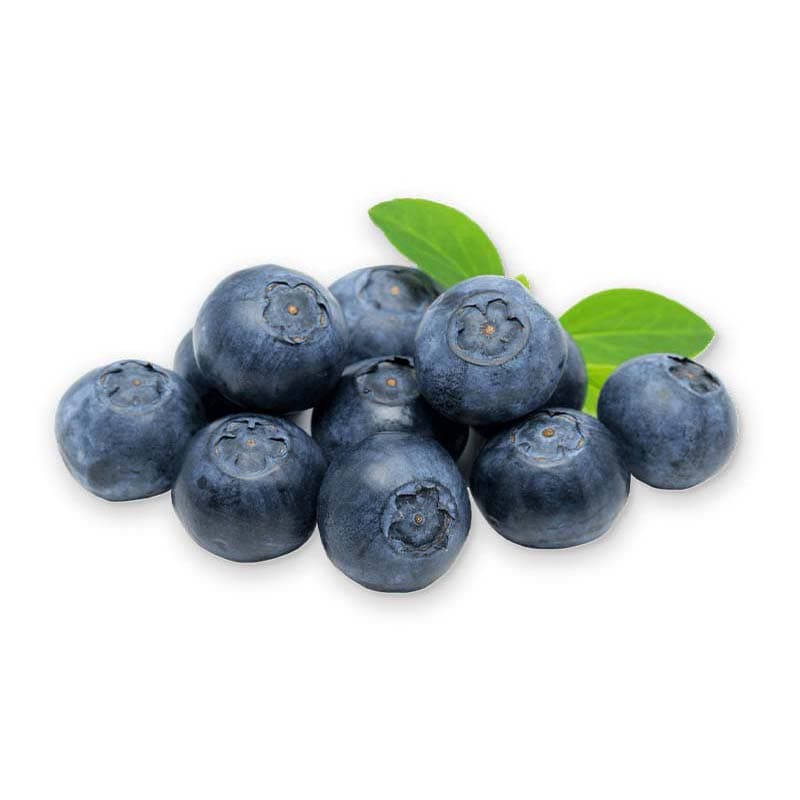 Organic Blue Berry